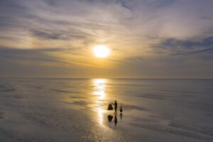 Sea Sunrise Ocean Sunset Beach - dangquangn / Pixabay